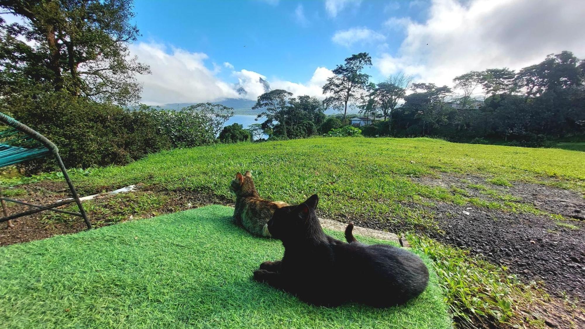 Rustico Villa Arenal La Fortuna Bagian luar foto